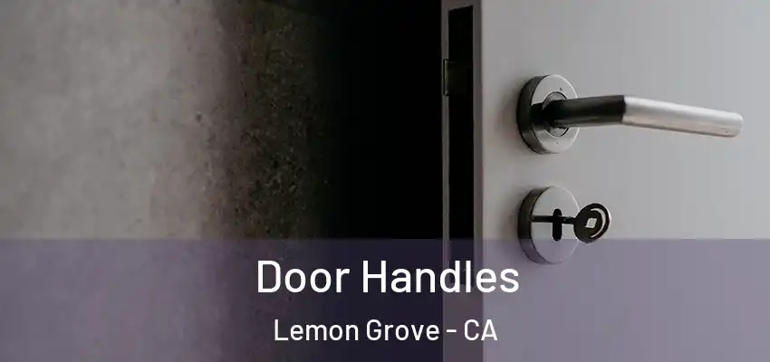  Door Handles Lemon Grove - CA